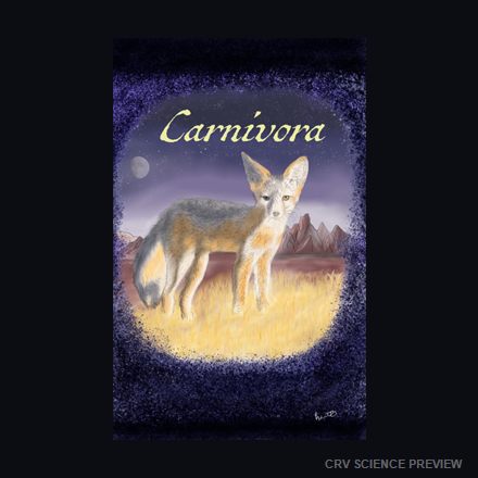 Carnivora (Kit Fox) - 12" x 18" Framed Print artwork