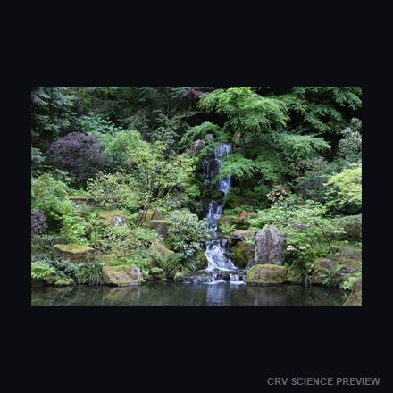 Japanese Garden Waterfall - 12" x 18" Framed Photo Paper artwork