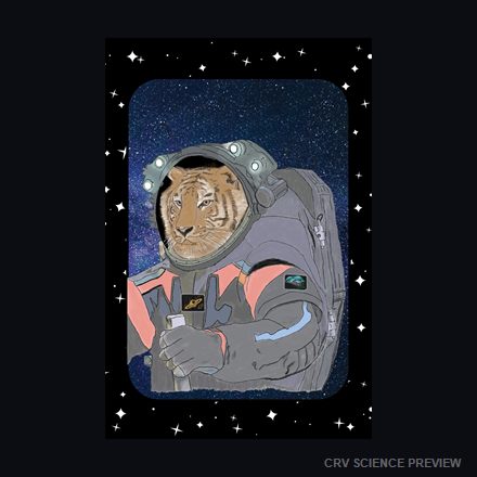 Space Cat - 12" x 18" Framed Print artwork