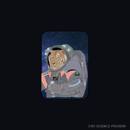 Space Cat - Bella Canvas T-Shirt artwork