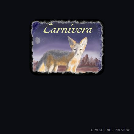 Carnivora (Kit Fox) - Bella Canvas T-Shirt artwork