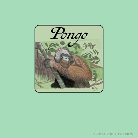 Pongo (Bornean Orangutan) - Bella Canvas T-Shirt artwork