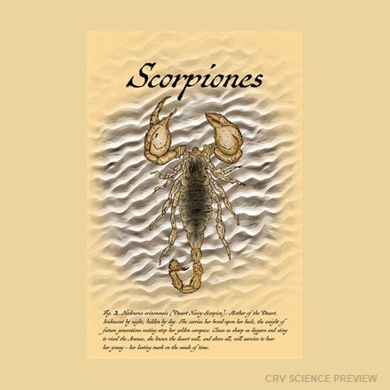 Fig. 2. Scorpiones (Desert Hairy Scorpion) - Thin canvas artwork
